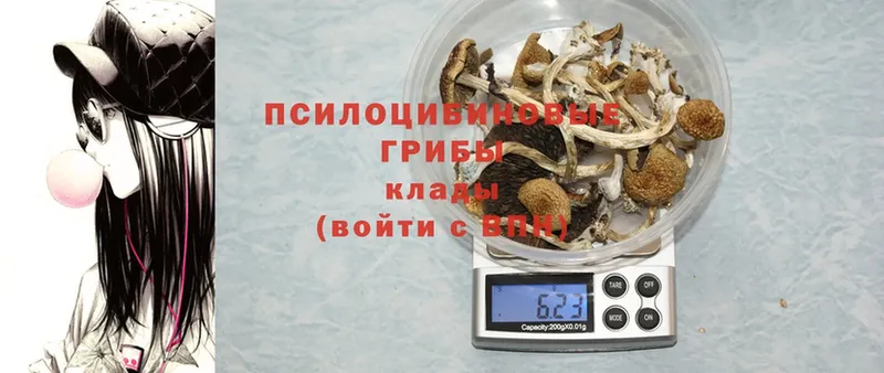 где можно купить наркотик  Ак-Довурак  Псилоцибиновые грибы Magic Shrooms 